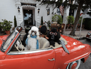 Screen Shot 2014-11-08 at 4.28.29 PM